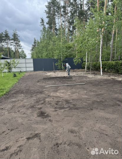 Рулонный газон