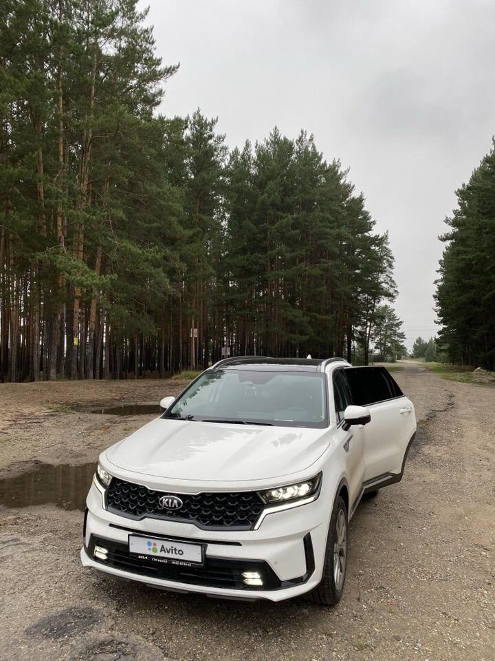 Kia Sorento: фото владельца