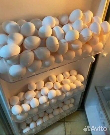 Яйцо домашнее