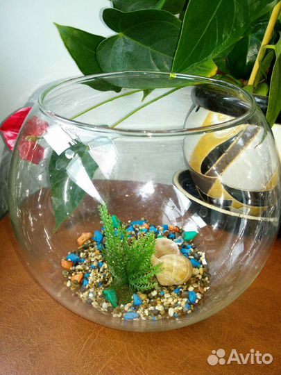 Аквариум-подарок 2,3,7 литров