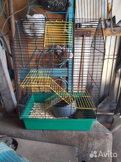 Клетка для дегу