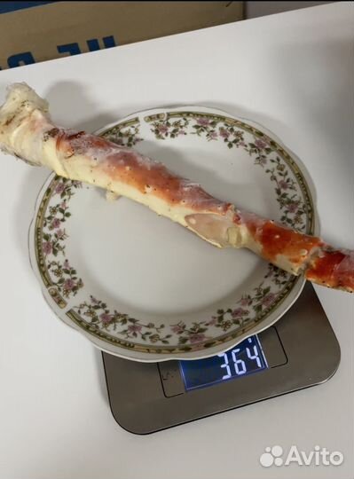 Клешни камчатского краба L3-L4