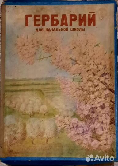 Гербарий для начальной школы