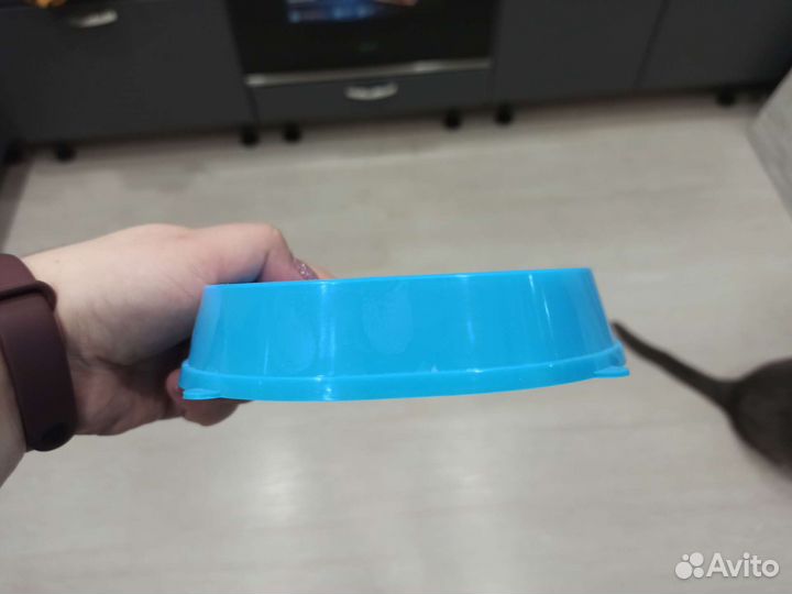 Миска для животных