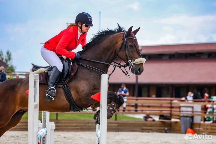 Обучение верховой езде