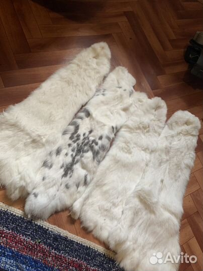 Шкурка животного