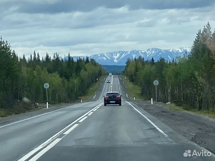 Камчатская красная икра 2023