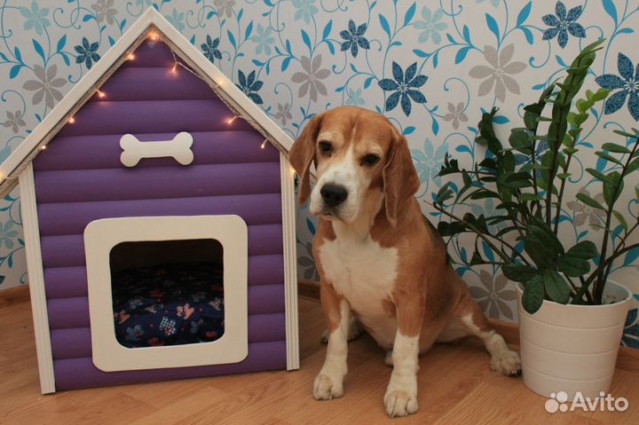 Домик для собаки
