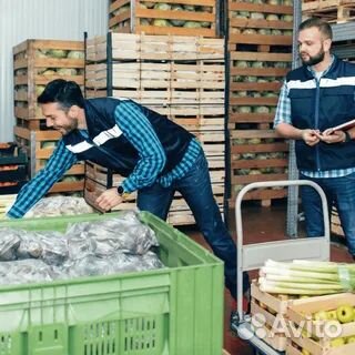 Сортировщик на склад