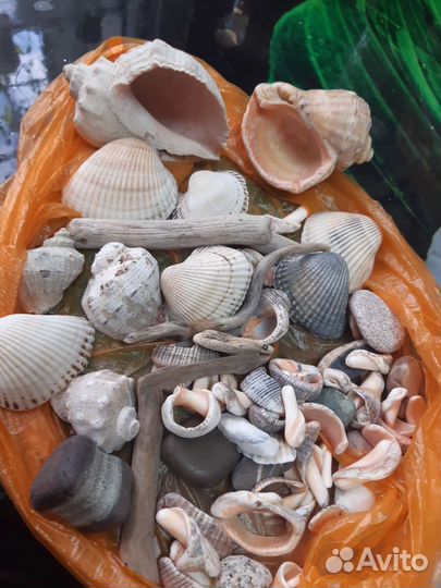 Грунт для аквариума