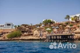 Путешествие в Египет на семью 2+1