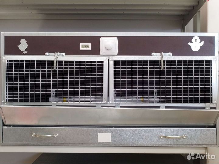 Брудера для цыплят новые