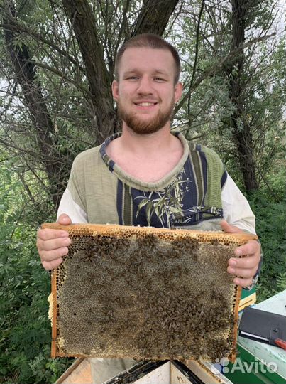 Мед Астраханский от производителя