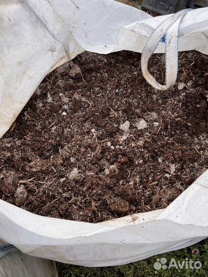 Компост от шампиньонов