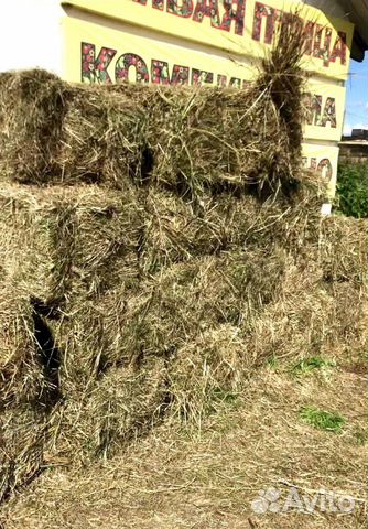 Сено в тюках