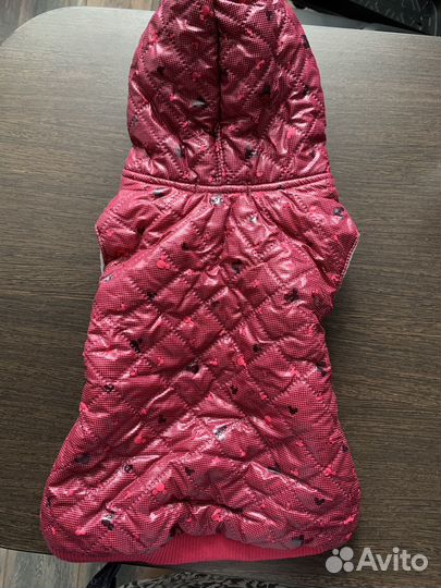 Одежда для собак мелких пород