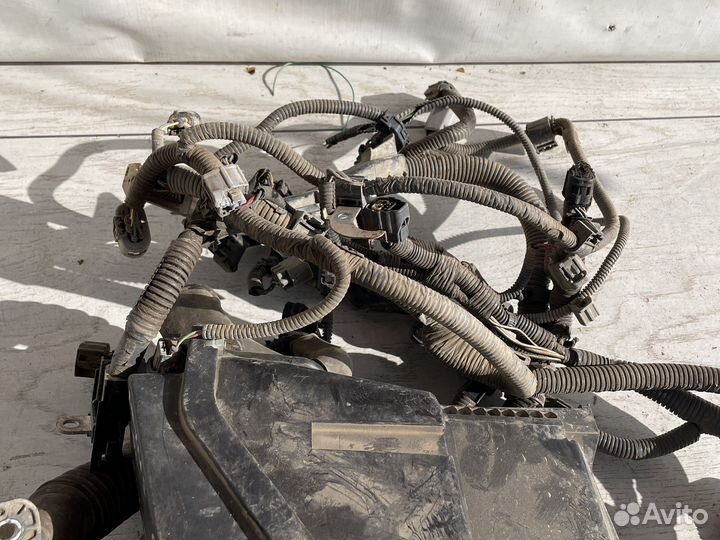 Lexus GS 350 Проводка моторная