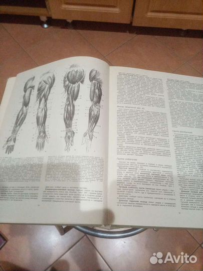 Книга пластическая анатомия и изображение человека