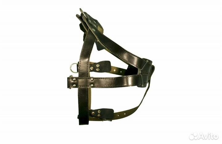 Шлейка для средней/крупной собаки 36мм до 115см