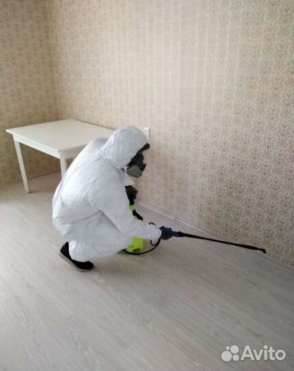 Уничтожение клопов тараканов клещей блох