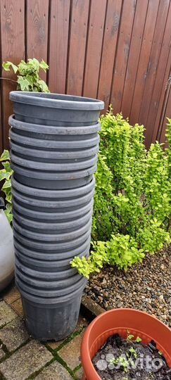 Горшок для растений