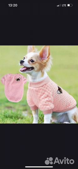 Одежда для собак и кошек