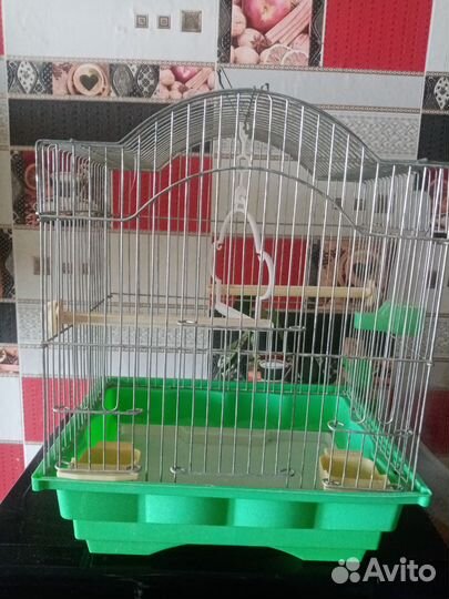 Товары для животных