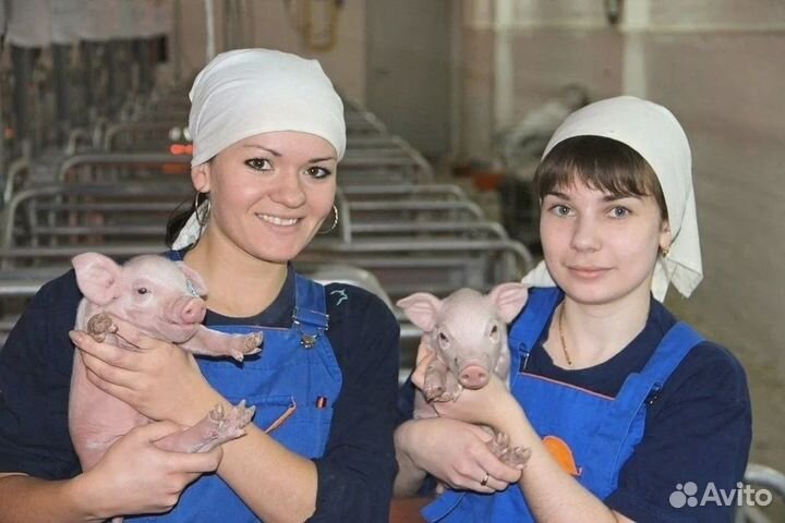 Помощники мастера на Агрокомплекс М/Ж