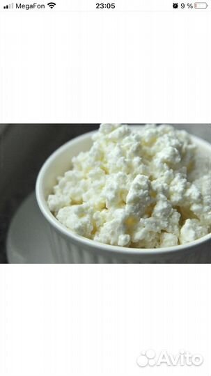 Творог оптом