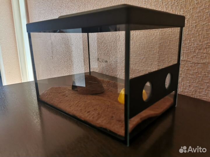 Улиткарий : дом для улиток, ящериц, черепах и т.д