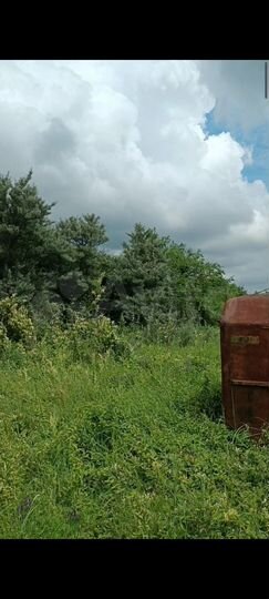 Участок 14 сот. (СНТ, ДНП)