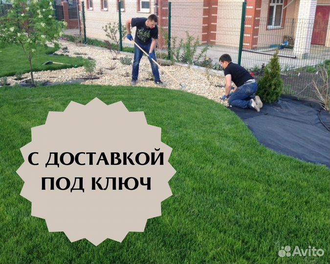 Рулонный газон с доставкой