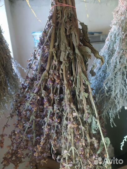 Душица,мята, полынь, шалфей