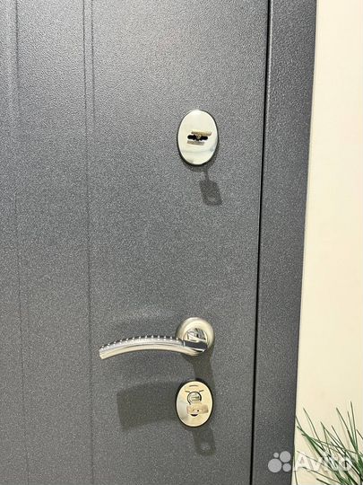 Входная дверь торекс