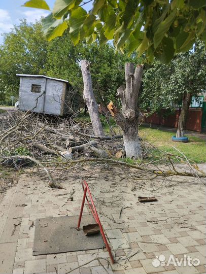 Спил и обрезка деревьев
