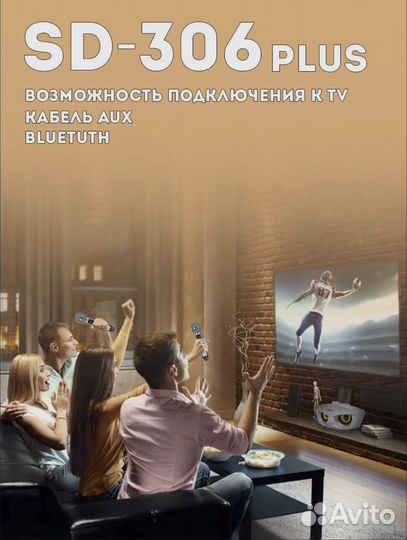 Караоке система sdrd SD-306 Plus