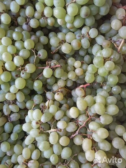 Фрукты и овощи