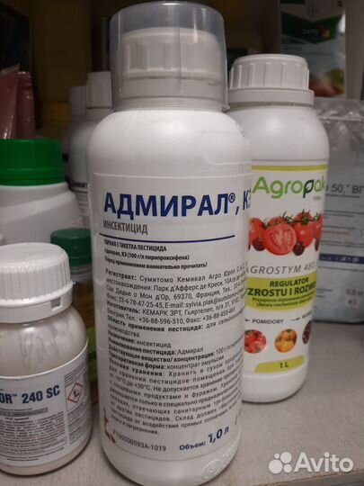 Адмирал, Ювинал Голд