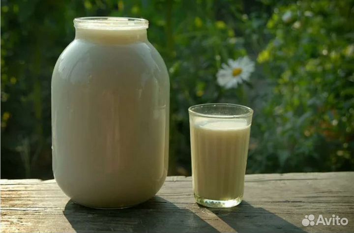 Молоко коровье домашнее