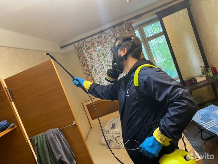 Уничтожение клопов тараканов Дезинфекция