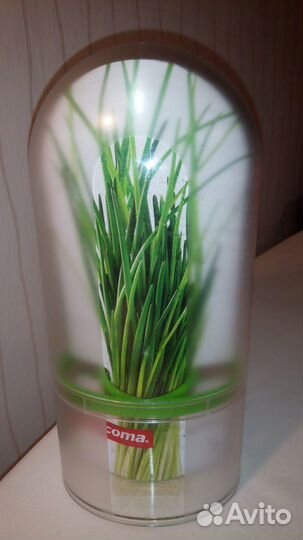 Контейнер для зелени (Чехия)