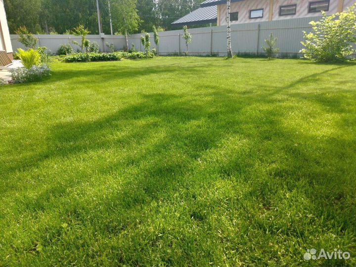 Озеленение участка. Посев газона