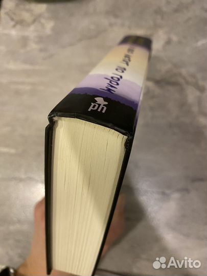 Книга Халед Хоссейни И эхо летит над горами