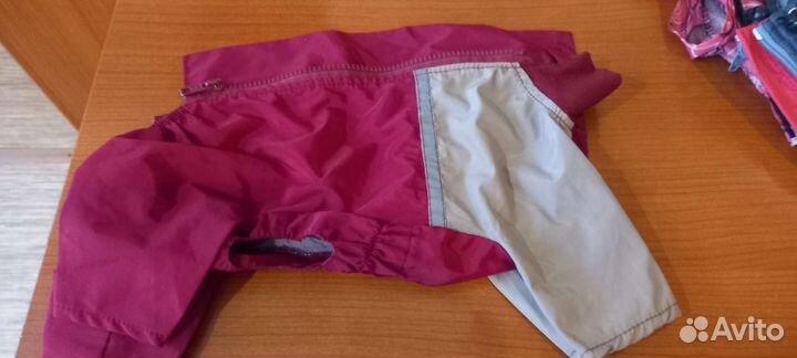 Дождевик для маленькой собаки