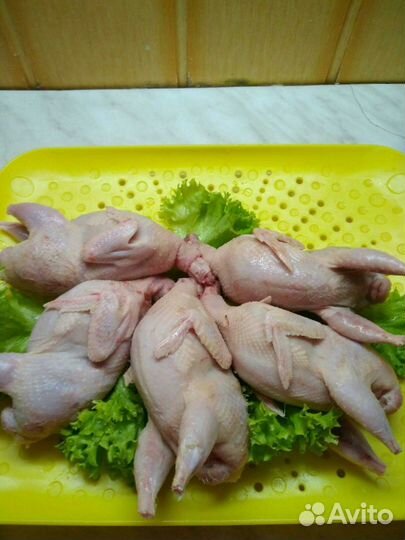 Мясо перепела