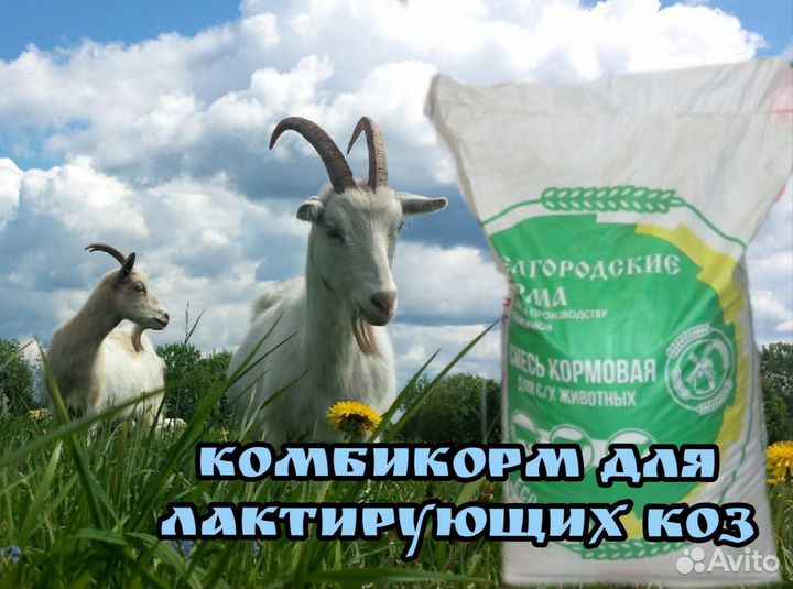 Белгородские комбикорма