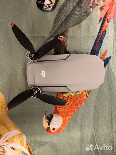 DJI mini 2 квадрокоптер