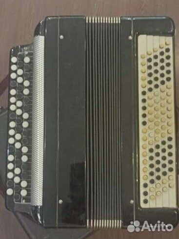 Баян тульский терка