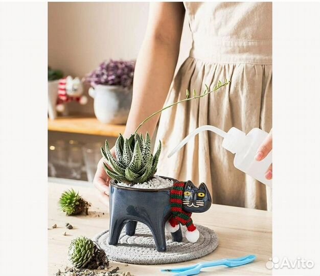 Кашпо котик
