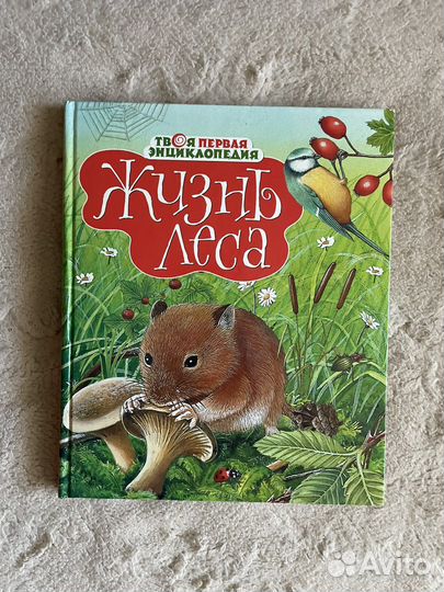 Джорджи Адамс книги